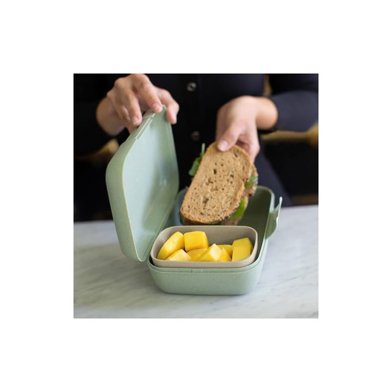 KOZIOL Rex Lunch Box