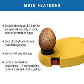 Brinsea OvaView High Intensity Egg Candler for Monitoring Embryo Development in Quail, Pheasant, Marans Eggs, Portable Battery Operated Extra Bright LED Light Candling Lamp