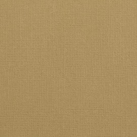 Florence Coloured Card Peanut Brown - Craft Card A4 - Craft Paper 10 x - Scrapbook Paper for Cards Crafts, Punching and Paper Crafts - Craft Set Texture