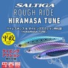 DAIWA Saltiga Rafride, 160F, HM, Navy Bone, Cruise Custom