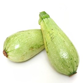 Palm Beach Medicinal Herbs - Lebanese White Bush Marrow Squash - Packet of 10 Seeds