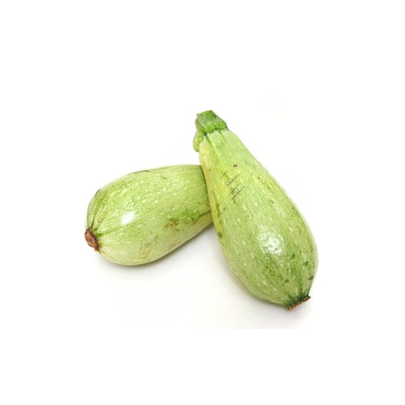 Palm Beach Medicinal Herbs - Lebanese White Bush Marrow Squash