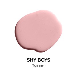 BACKDROP | Premium Interior Paint | Standard Semi Matte, Low Sheen Finish | Self-Priming, Low VOC, Green Wise Certified | SHY BOYS – True pink | 0.5 Gallon