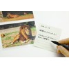 Lion Office Equipment File Refill, Photo Pocket, A4, Double-Sided, PH-PT3,