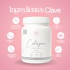 Caro Fit Colágeno Hidrolizado Tipo Polvo Sabor Vainilla 500