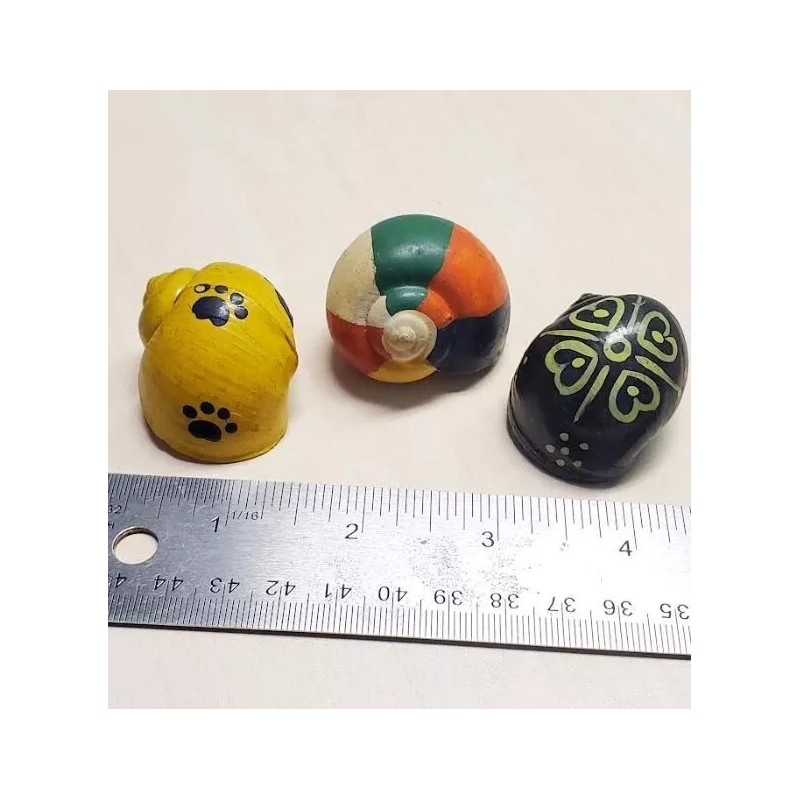 3 RANDOM Painted Hermit Crab Shell Turbo Novelty Aprox 1