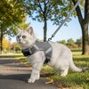 pangdi Cat Harness and Leash Escape Proof Kitten Harness Cat