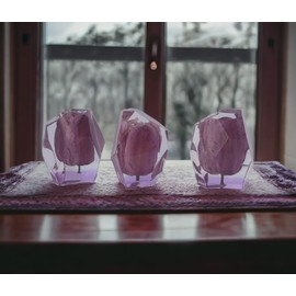 Tulipán Natural Encapsulado En Resina Flores Eternas (Fucsia)