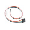 Jumper Wire – 0.1, 6-pin, 12 "