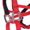 Big Dog Styles Head Collar, Made in UK for Large