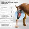 Ortocanis - Dog Knee Protector |Adjustable Neoprene Canine Knee Brace