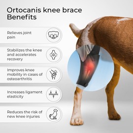 Ortocanis - Dog Knee Protector |Adjustable Neoprene Canine Knee Brace for Joint Stability, Recovery|Veterinary Orthosis for Osteoarthritis and Pain | Postoperative Support Dogs Size X Mini 5.0-5.8"