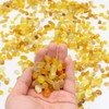 WAYBER Natural Yellow Agate Pebbles, 1 Lb/460g Decorative Rocks Non-Toxic