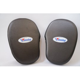 WINNING CM-20 Punching Mitt, Standard Type
