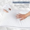GOHOME Queen Size Pillow Set of 2 - Fluffy Down