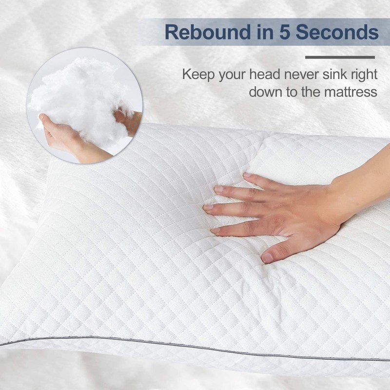 GOHOME Queen Size Pillow Set of 2 - Fluffy Down
