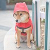 BINGPET Dog Raincoat, Kappa, Rain Gear, Waterproof, Windproof, Snowproof, Hat