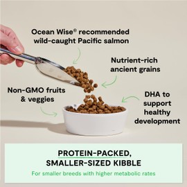 Open Farm, Ancient Grains Dry Dog Food for Puppies, Protein-Rich & Nutrient Dense, 90% Animal Protein Mixed with Non-GMO Fruits, Veggies and Superfoods, Salmon Recipe for Puppy, 22lb Bag