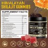 Gwynne Shilajit Gummies 3000mg Para Hombres Y Mujeres Shilajit Gummies