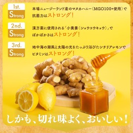NaTruly（ナトゥリー） ジンジャーシロップ マヌカハニー ストロング 400g 辛口 パウチ 生姜シロップ 添加物不使用