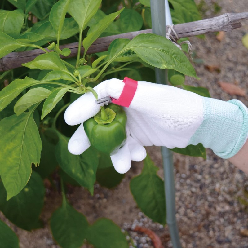 Takagi Harvest Ring Cutter