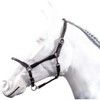 HKM by Reiterladen24 Basic Line Leather Headcollar Round Stitched Black