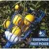 EVERSPROUT Twist-On Fruit Picker Basket, Twists onto Standard US Threaded