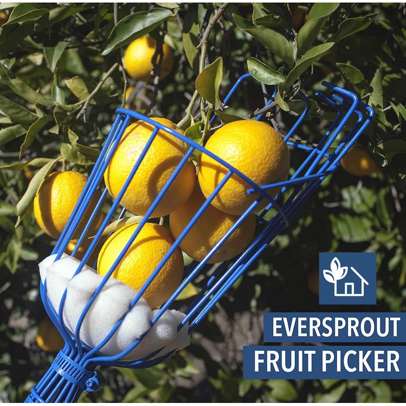 EVERSPROUT Twist-On Fruit Picker Basket, Twists onto Standard US Threaded
