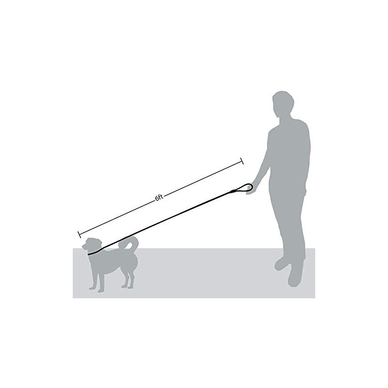 Wolfi Correa para Mascota Duradera, Correa Resistente y cómoda para