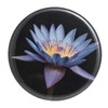 Lavender Water Lily Black Background Flat Art Pocket Mirror