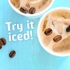 Friendly's Ice Cream Flavored Coffee Variety Pack Sampler Pods for
