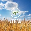 Dreamfields Healthy Pasta Spaghetti Pack of 10 Non GMO Vegan