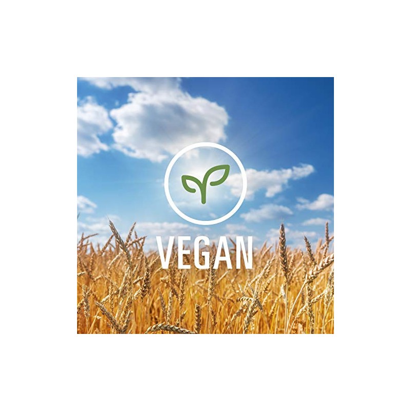 Dreamfields Healthy Pasta Spaghetti Pack of 10 Non GMO Vegan