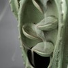 Cute Cactus Backflow Incense Burner, Green Ceramic Incense Holder Waterfall