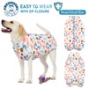 AOFITEE Dog Recovery Suit, Surgical Recovery Suit for Dog Female