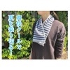 Seikan ECO de Cool Muffler, Made in Japan, Cool Towel,