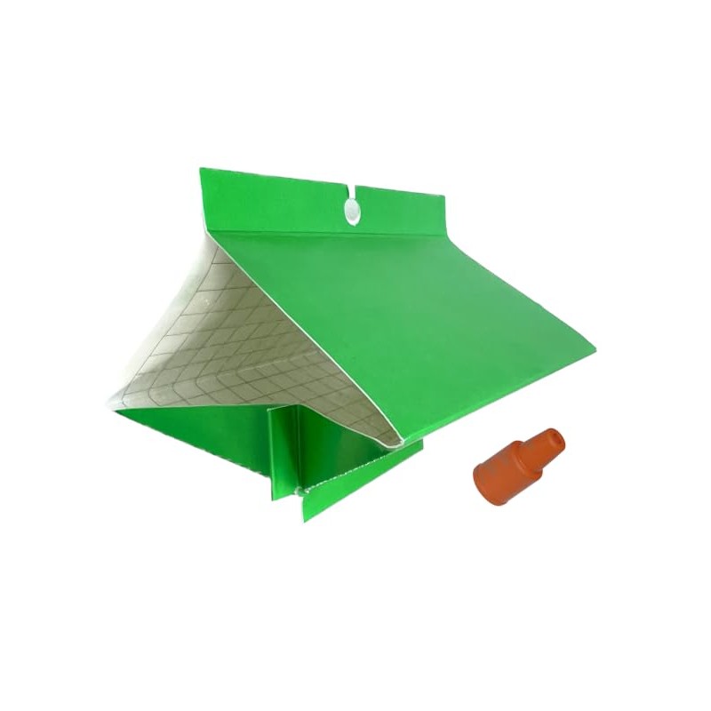 Peach Tree Borer & Clearwing Moth Trap (2 Pack, 8