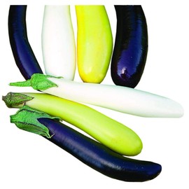 Park Seed Variety of Eggplant Vegetable Seeds, Plant Seeds, Easy to Grow, Perfect for Harvesting, Fingerling Blend, Pack of 25