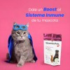 Suplemento Multivitamínico Para Perros Y Gatos Con Echinacea 90g