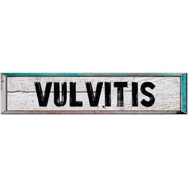 ANY AND ALL GRAPHICS Vulvitis 4"x18" Rectangle White Washed Weathered Painted Wood Look Novelty décor Composite Aluminum Beach Cottage Sign.