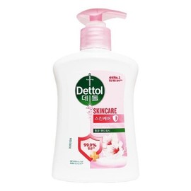 Dettol Antibacterial Hand Wash Skincare 250mL x 1 / 항균 핸드워시 스킨케어 250mL x 1개