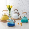 ROCKURWOK Tea Kettle, Tea Pot with Cool Touch Ergonomic Handle,