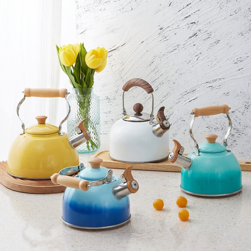 ROCKURWOK Tea Kettle, Tea Pot with Cool Touch Ergonomic Handle,