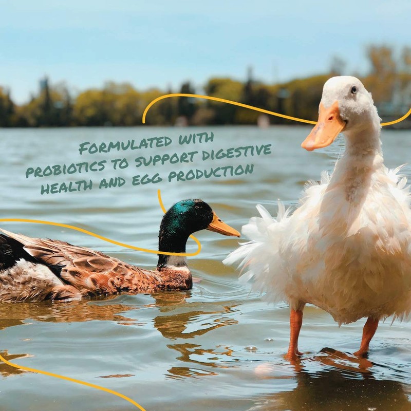 Manna Pro Duck & Goose Layer Pellets, High Protein for