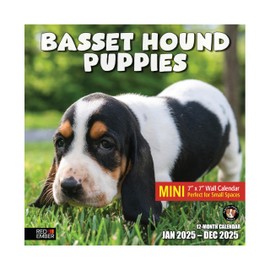 RED EMBER Basset Hound Puppies Mini 2025 Wall Calendar 12 Month | 7" x 14" Open | Thick & Sturdy Paper | Giftable | Calendar 2025