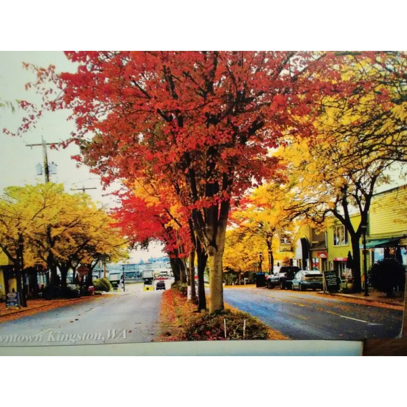 PACIFIC NORTHWEST BEAUTIFUL PHOTO POST CARD DOWNTOWN KINGSTON WASHINGTON