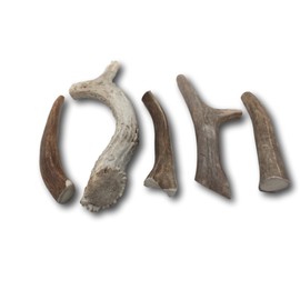 Top Dog Chews Premium Grade A Large Antler 1LB (+/- an Ounce or Two) Variety Pack! No Pieces Under 6"! Top Dog Chews Brand!