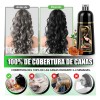 Shampoo Tinte Instantaneo Cubre Canas Extracto Plantas 500ml