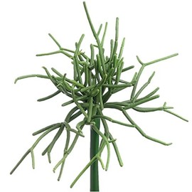 SilksAreForever 8" Real Touch Pencil Cactus Artificial Stem Pick -Green (Pack of 12)