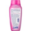 Vagisil Odor Block Daily Intimate Vaginal Wash 12 oz (Pack